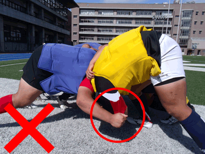 �t�����g���[�̃o�C���h���悭���āI