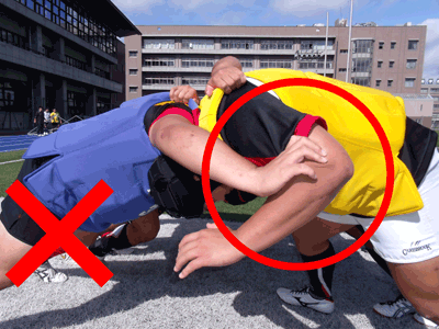 �t�����g���[�̃o�C���h���悭���āI