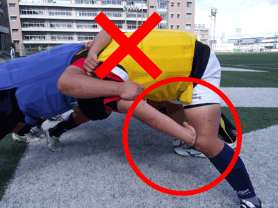 �t�����g���[�̃o�C���h���悭���āI