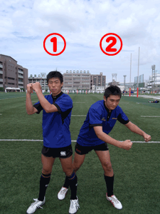 ラック/モールのコラブシング ラック/モールのコラブシング